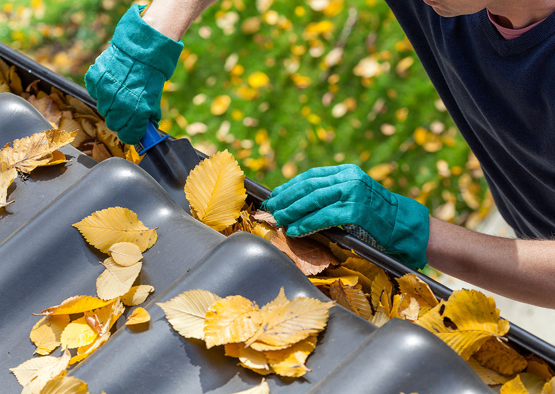Gutter Cleaning Pakenham